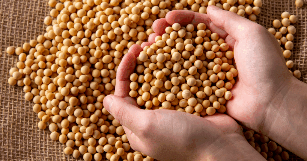 Banner Magasinet - artikler (22)